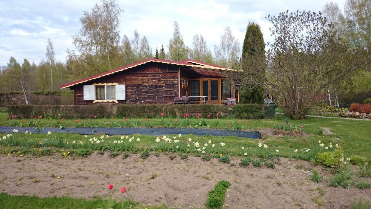 Дома для отпуска Maarjamäe Holiday House Ряпина